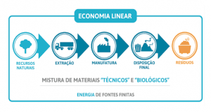 Linear Economy Infographic