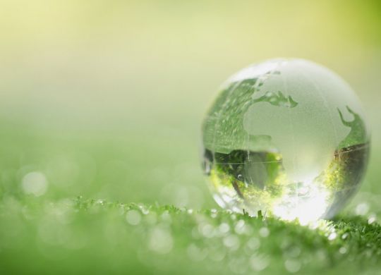 Foto de um globo terrestre sobre uma grama, simbolizando o greenwashing.