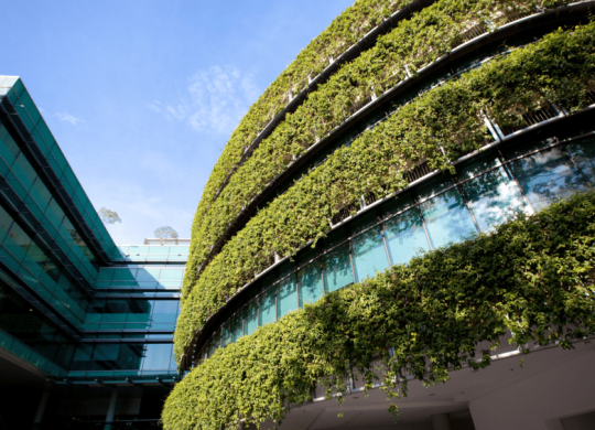Green buildings são sustentáveis e representam o futuro da construção