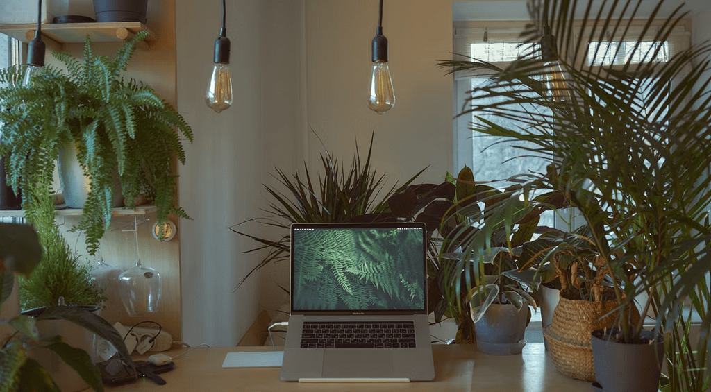O estilo Urban Jungle é uma tendência entre pessoas aderentes ao formato home office.