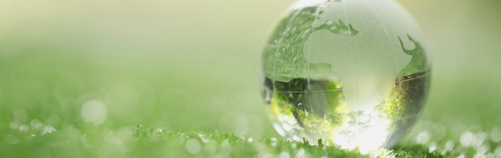 Foto de um globo terrestre sobre uma grama, simbolizando o greenwashing.