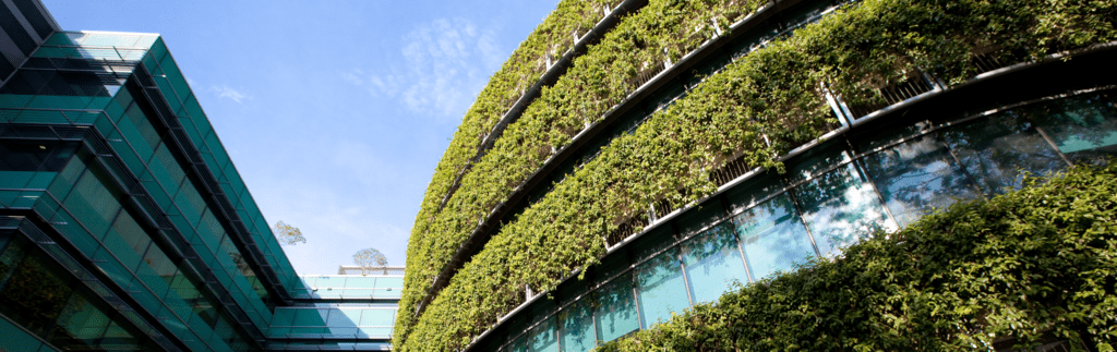 Green buildings são sustentáveis e representam o futuro da construção.