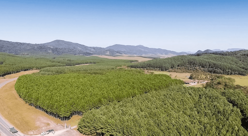 Fazenda de madeira da Moldurarte no Bom Retiro - SC