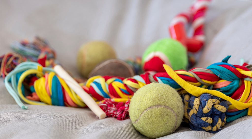 Espaço para cachorro guardar os brinquedos.