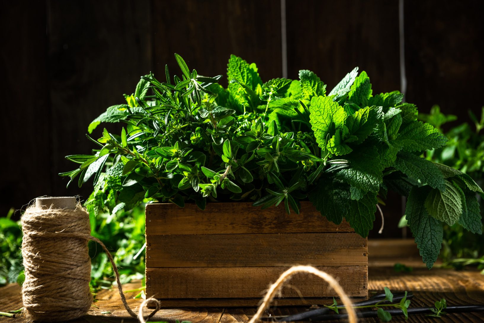 fresh herbs in wooden rustic box healthy eating 2023 11 27 05 11 09 utc